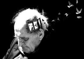 Los resultados ofrecen algunas de las primeras evidencias de que la enfermedad de Alzheimer no destruye memorias específicas, sino que las vuelve inaccesibles.