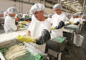 La iniciativa del gobierno salvadoreño busca elevar la calidad del empleo en el país. (Foto Prensa Libre: Hemeroteca PL)