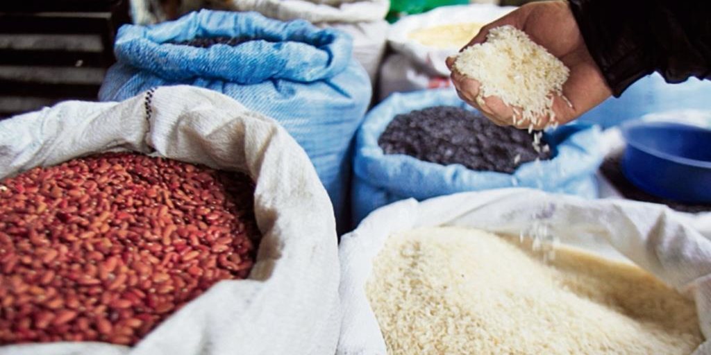 Precios de maÃz y frijol aumentaron en febrero Quintal diseño cerca