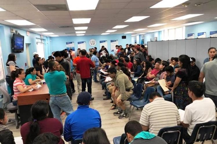 En el denominado “sábado consular”, guatemaltecos efectúan trámites en el Consulado de Guatemala en Maryland. (Foto Prensa Libre: Consulado Maryland)