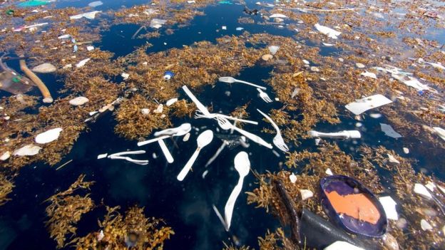 Cubiertos plástico y otros materiales conformaban el "mar de basura" cercano a la isla de Roatán. Foto cortesía de Caroline Power.