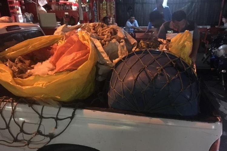 Picop en el que fue decomisado el filete de pescado, en Escuintla. (Foto Prensa Libre: Enrique Paredes).
