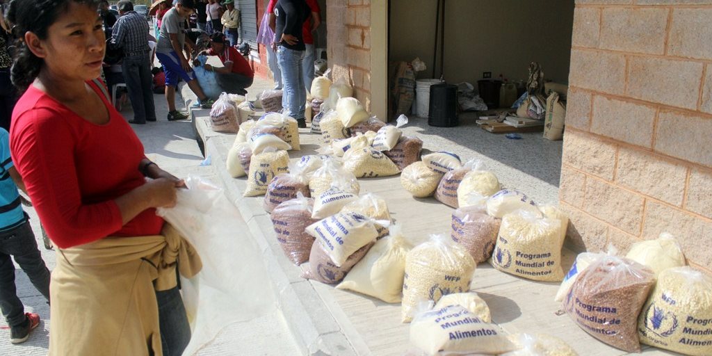 Precios de maÃz y frijol mantienen estabilidad Quintal diseño cerca