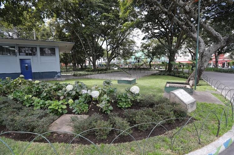 Parte de los jardines del parque Colón, en la zona 1 capitalina. (Foto Prensa Libre: Érick Ávila)