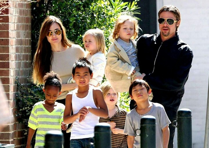 Angelina Jolie y Brad Pitt detienen proceso de divorcio