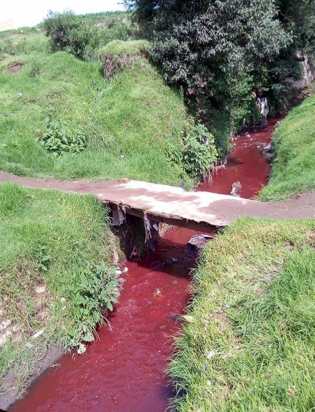 Las autoridades del Marn no encontraron el área en la que empezó la contaminación. (Foto Prensa Libre: Alexis Tovar)