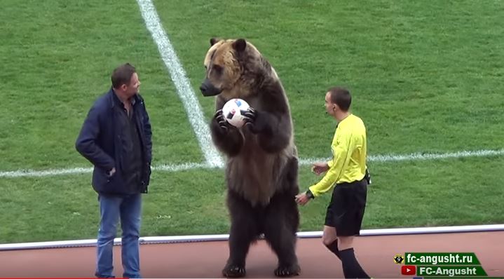El oso Tim sostiene el balón mientras observa a su entrenador