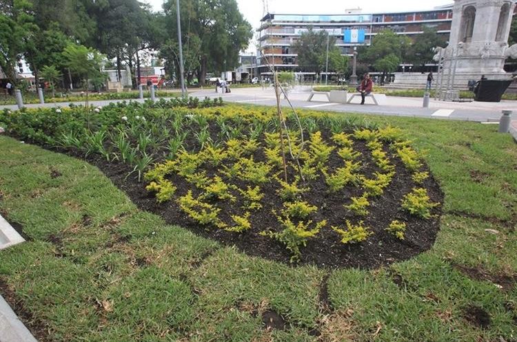 Varias áreas fueron jardinazadas. (Foto Prensa Libre: Esbin García).