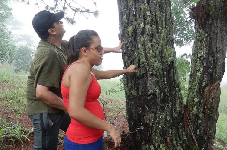 Un grupo de personas no videntes experimentaron su primer viaje a la montaña Las Granadillas en Zacapa. (Foto Prensa Libre: Christian Rodríguez)