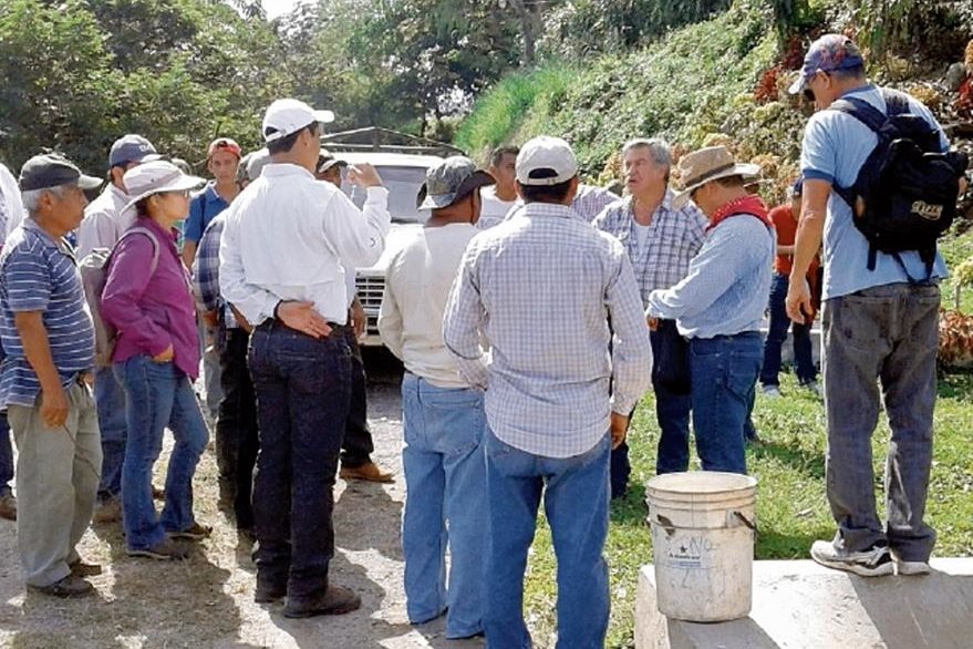 Integrantes de mesa técnica, durante un recorrido efectuado a principios de enero.