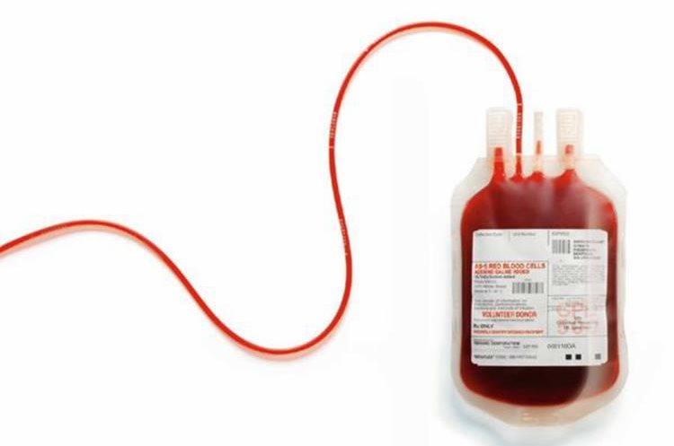 Cada 14 de junio se celebra el Día Mundial del Donante de Sangre