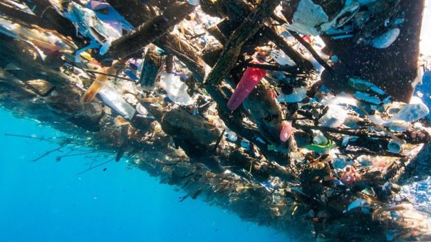 La basura llega en ocasiones a la segunda barrera coralina más grande del mundo. Foto cortesía de Caroline Power.