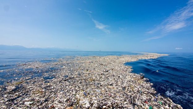 Guatemala asegura que contralará los vertimientos de basura hacia el mar Caribe a partir del próximo año. Foto cortesía de Caroline Power.