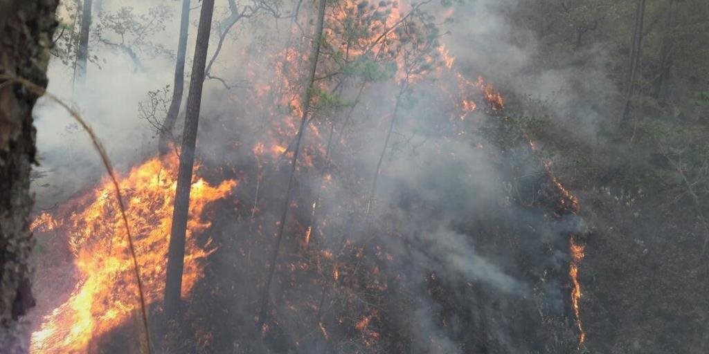 Incendios consumen bosques en Huehuetenango y El Progreso - Prensa Libre