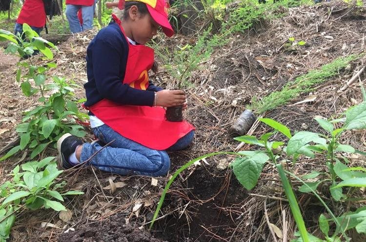 Una niña participan en la reforestación en San Miguel Petapa. (Foto Prensa Libre: Eduardo González)