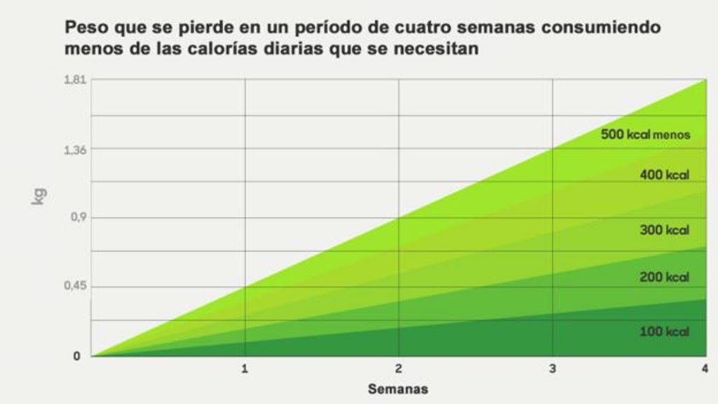 Alimentos que productos para quemar la grasa del abdomen productos para quemar la grasa del abdomen