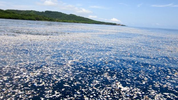 La basura flotante llega hasta varias localidades de la costa norte de Honduras. Foto cortesía de Caroline Power.