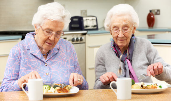 Resultado de imagen para Adulto Alimentandose