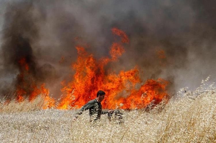 Artefactos incendiarios afectaron los cultivos israelíes cercanos. AFP